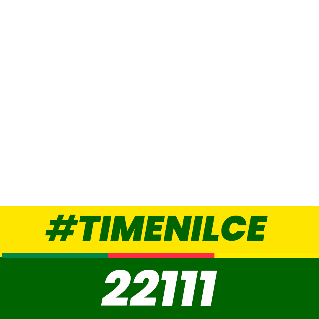 Moldura de Nilce - Deputada Estadual 22111